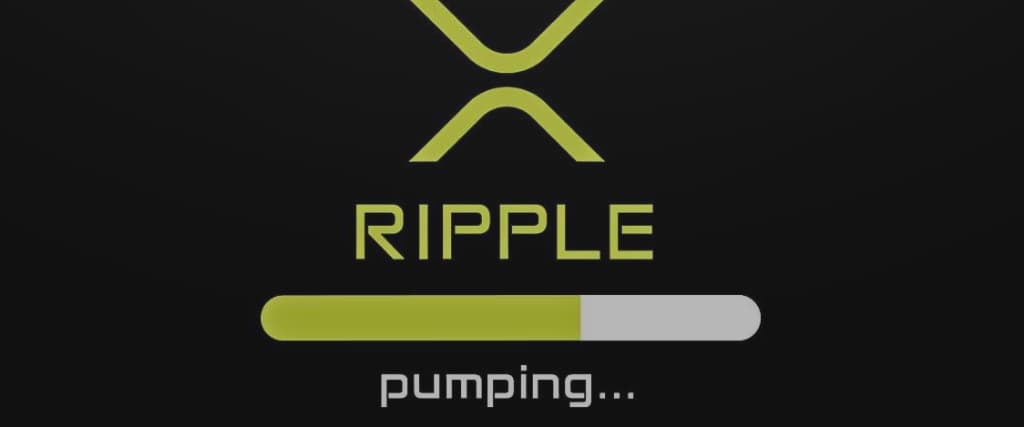 How To Buy XRP Ripple In Australia 2024 Extras How To Buy XRP Ripple In Australia 2024 Extras