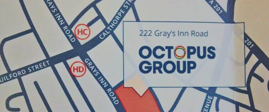 1. Octopus Group